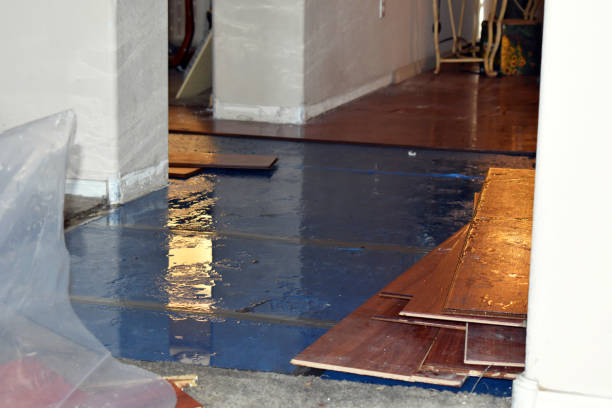 Professional Water Damage Restoration technician working in Centralia, IL